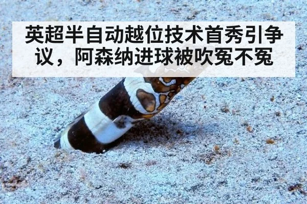 英超半自动越位技术首秀引争议，阿森纳进球被吹冤不冤